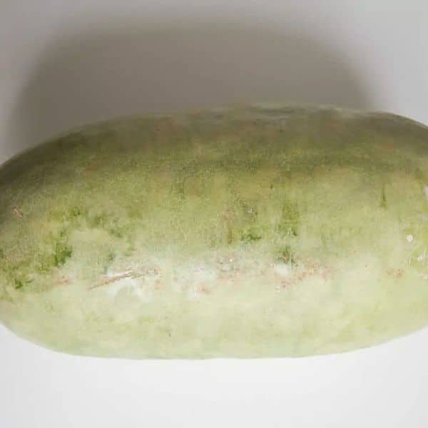 Encarabassado pumpkin