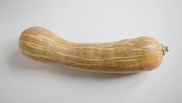 Carabassa llarga