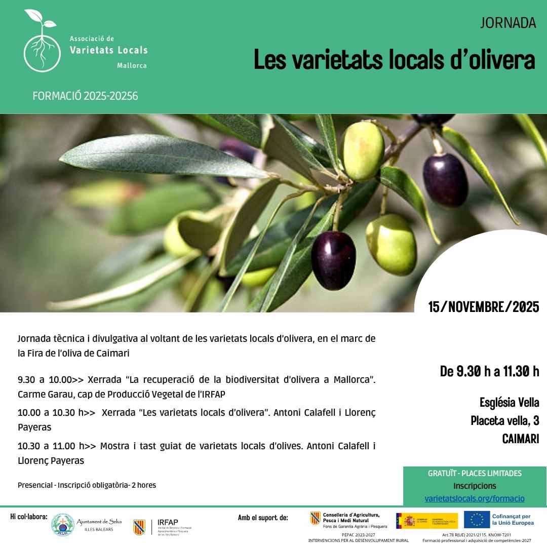 Formació - Varietats Locals 01 cartell jornada olivera Caimari nov25