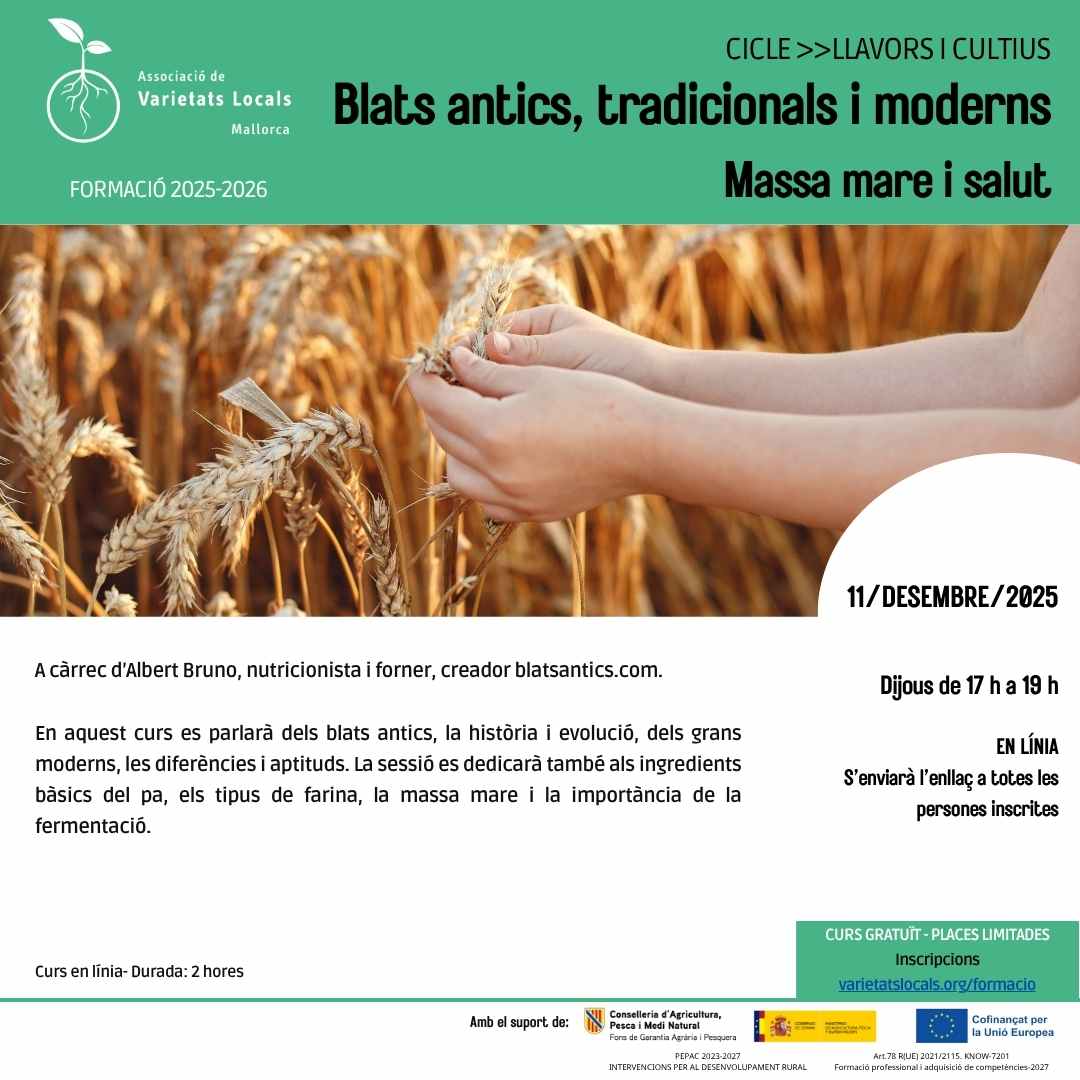 09 cartell curs en linia blats des25