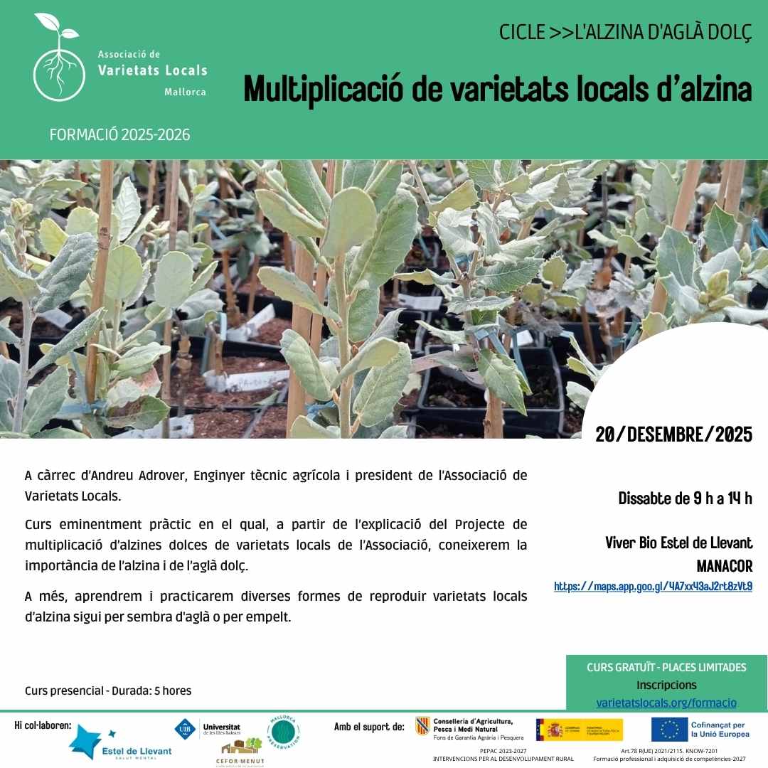 12 cartell curs alzina des25