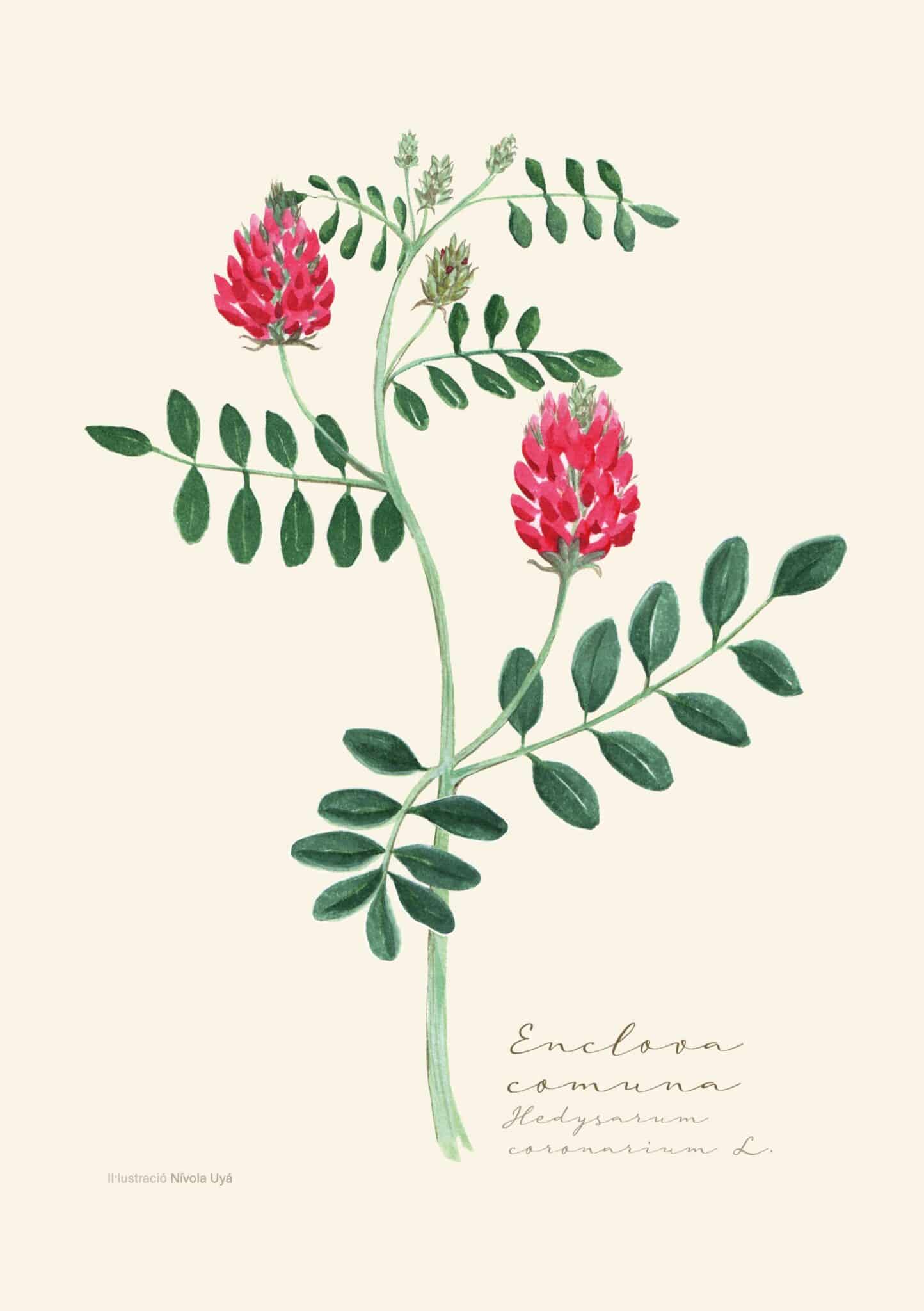 Disseny sense titol 10 scaled