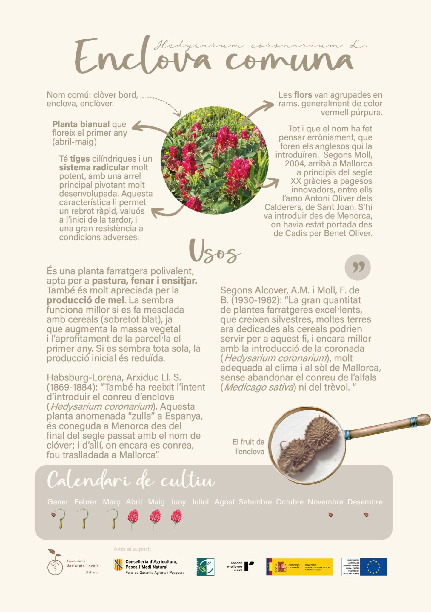 Disseny sense titol 11 scaled