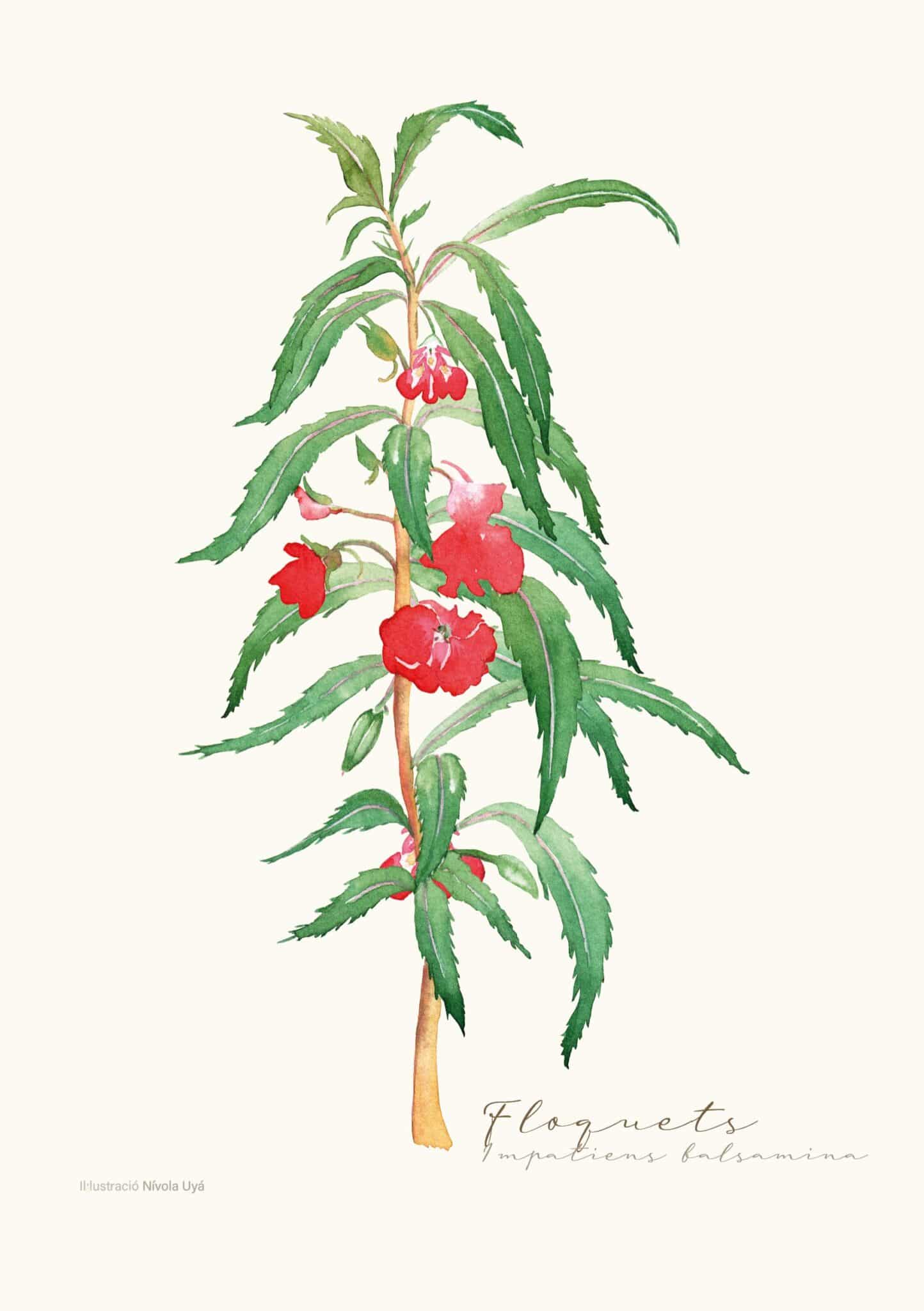 Disseny sense titol 2 scaled