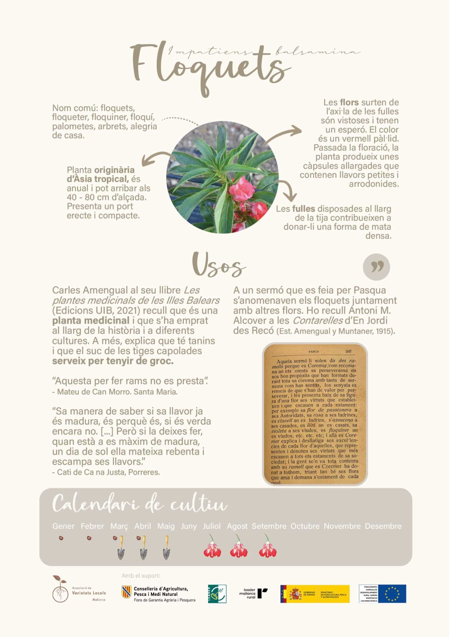 Disseny sense titol 3 scaled