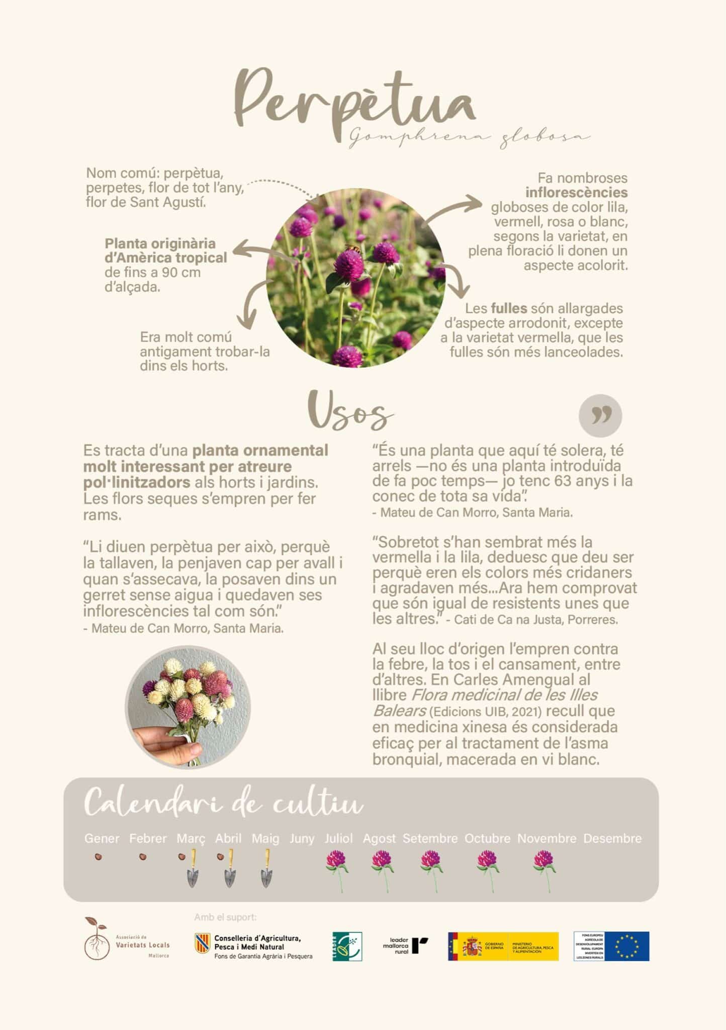 Disseny sense titol 5 1 scaled