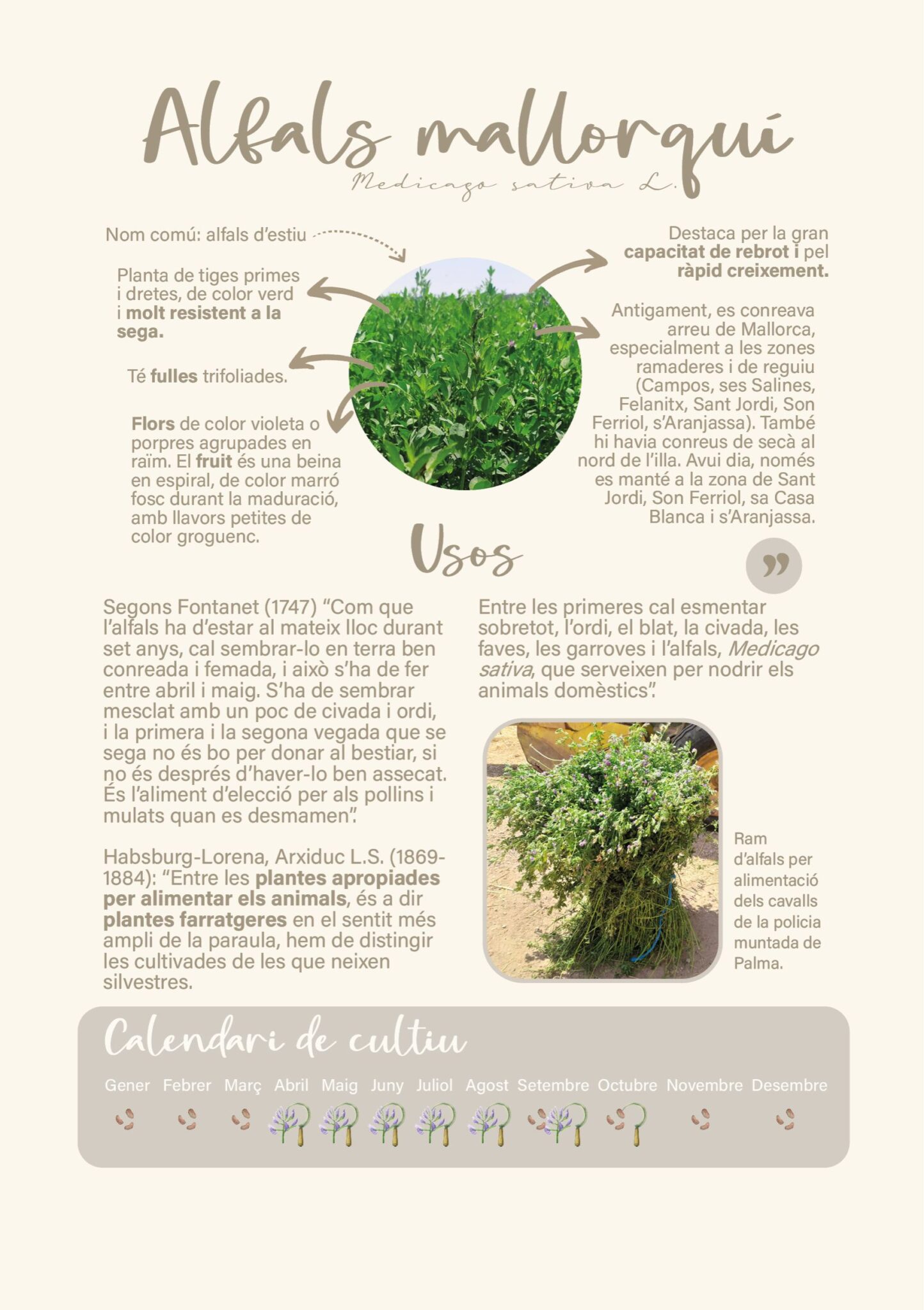 Disseny sense titol 7 scaled