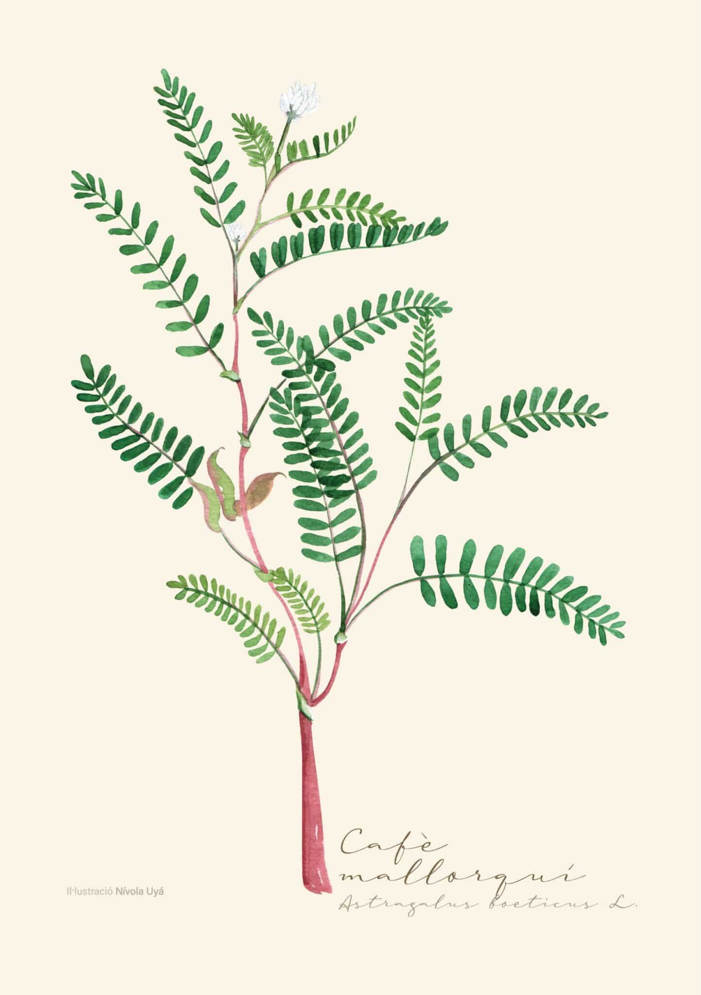 Disseny sense titol 8 scaled