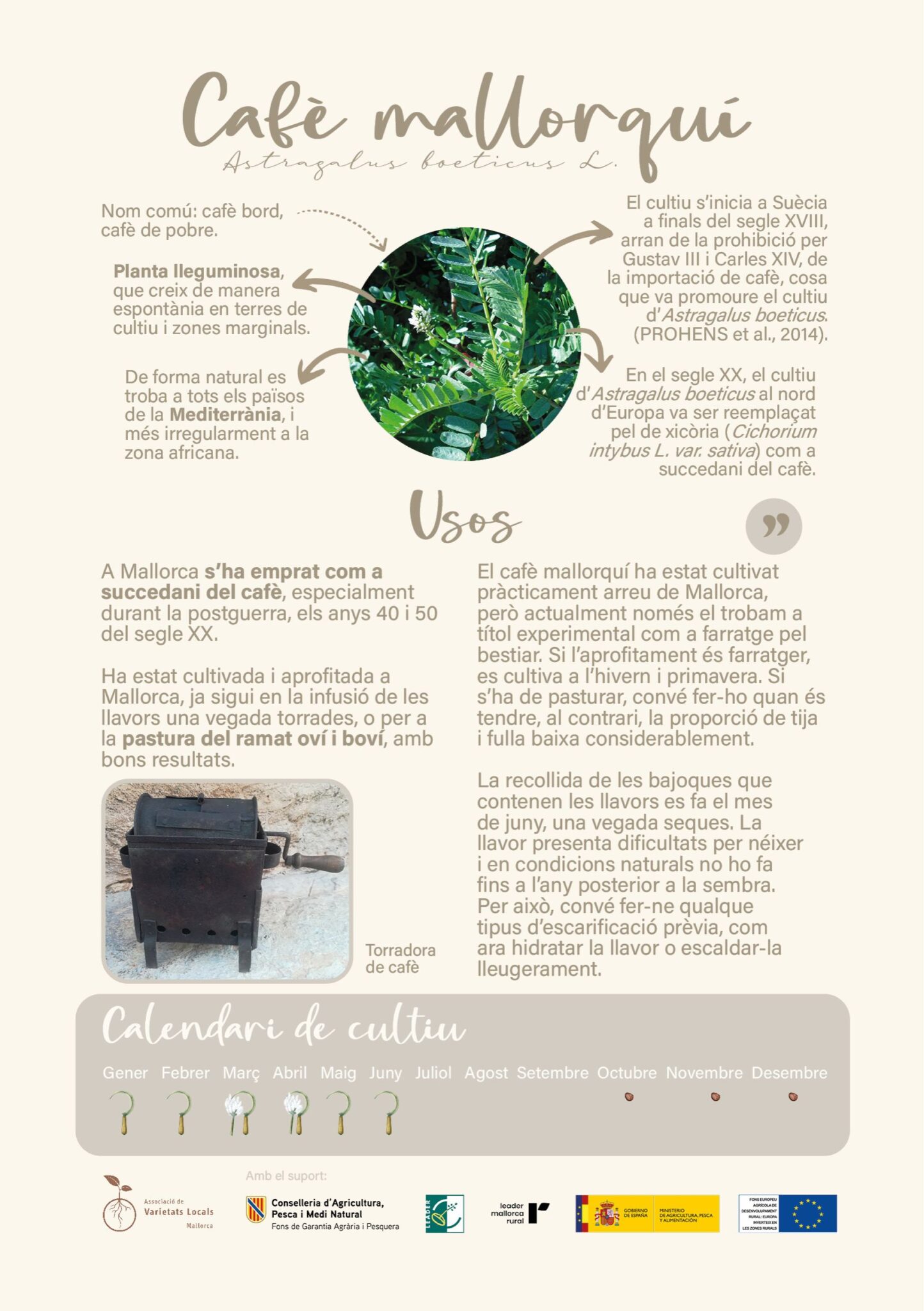 Disseny sense titol 9 scaled