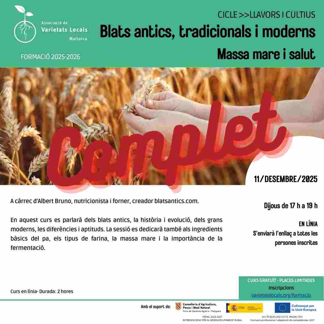 09 cartell curs en linia blats des25