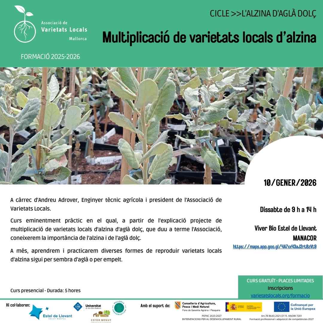 16 cartell curs alzina gen26