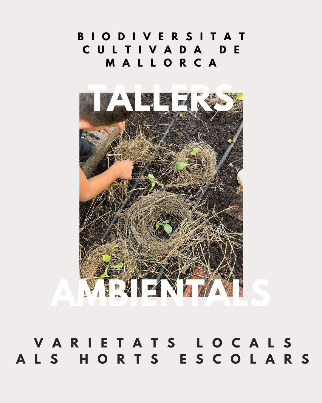 WhatsApp Image 2025 12 01 at 16.10.39