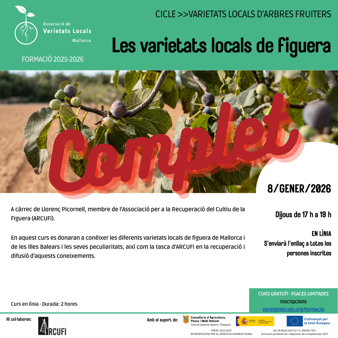 15 cartell curs en linia figuera gen26