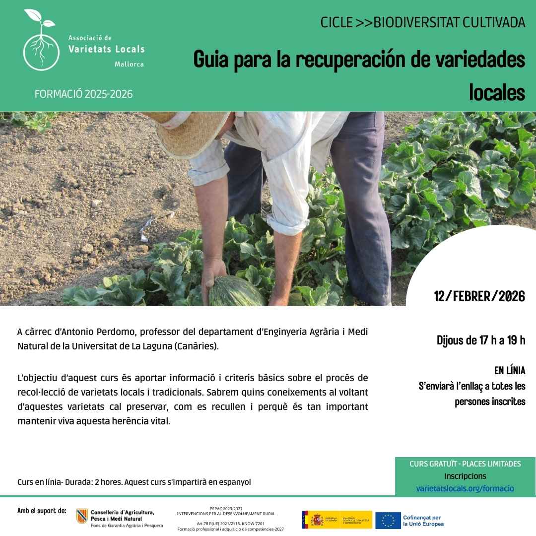 23 cartell curs en linia guia recuperacion feb26