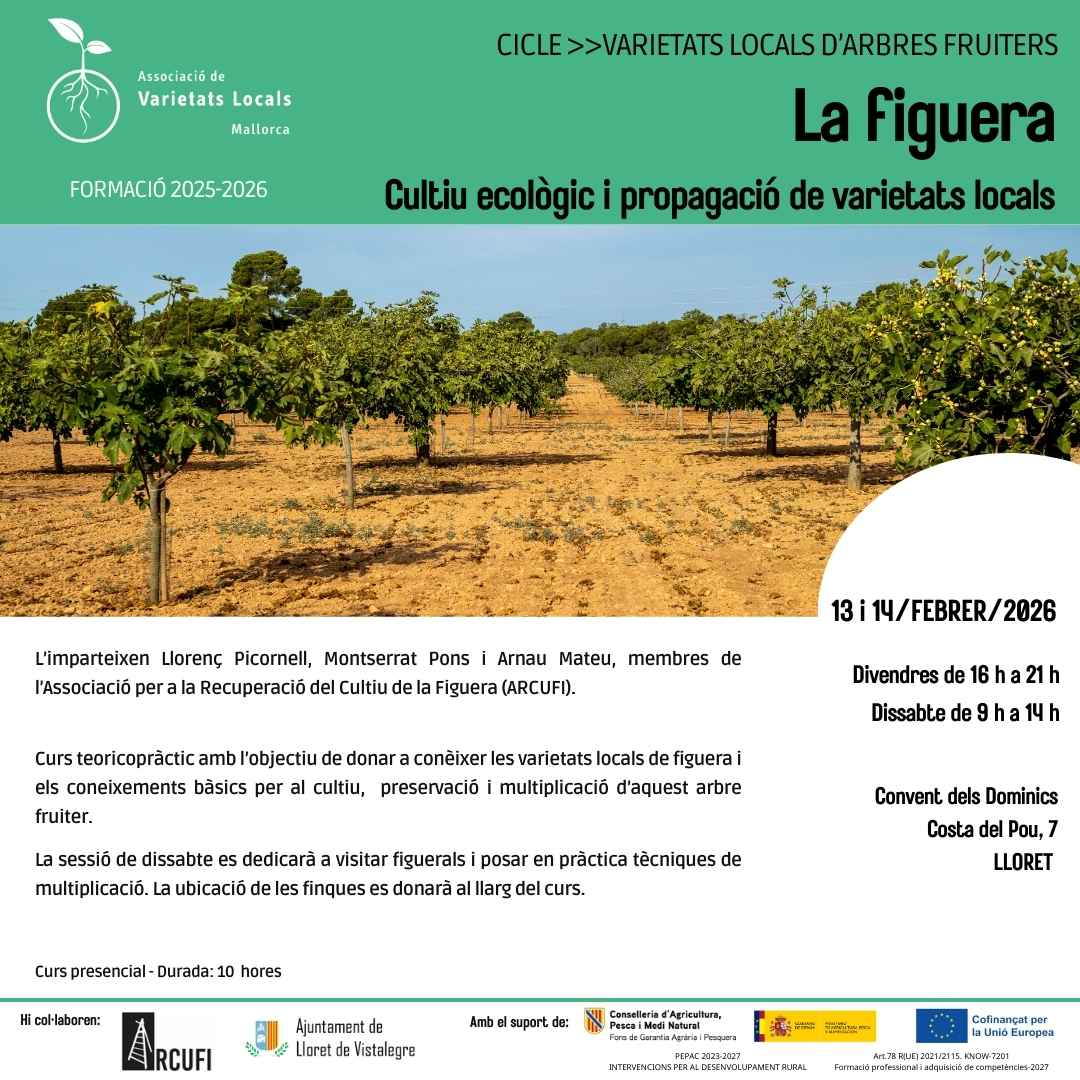 24 cartell curs figuera feb26