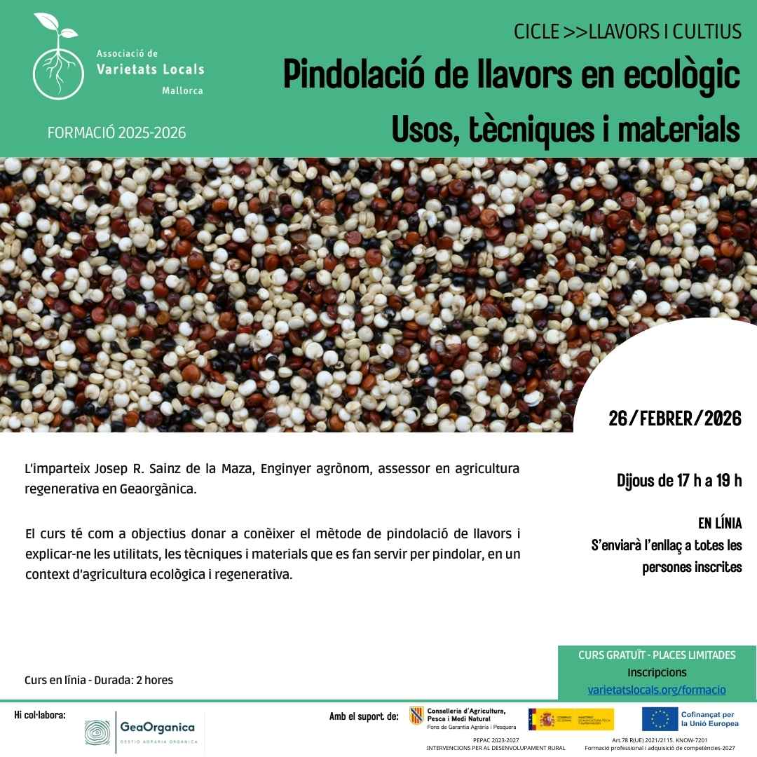 27 cartell curs en linia pindolacio feb26