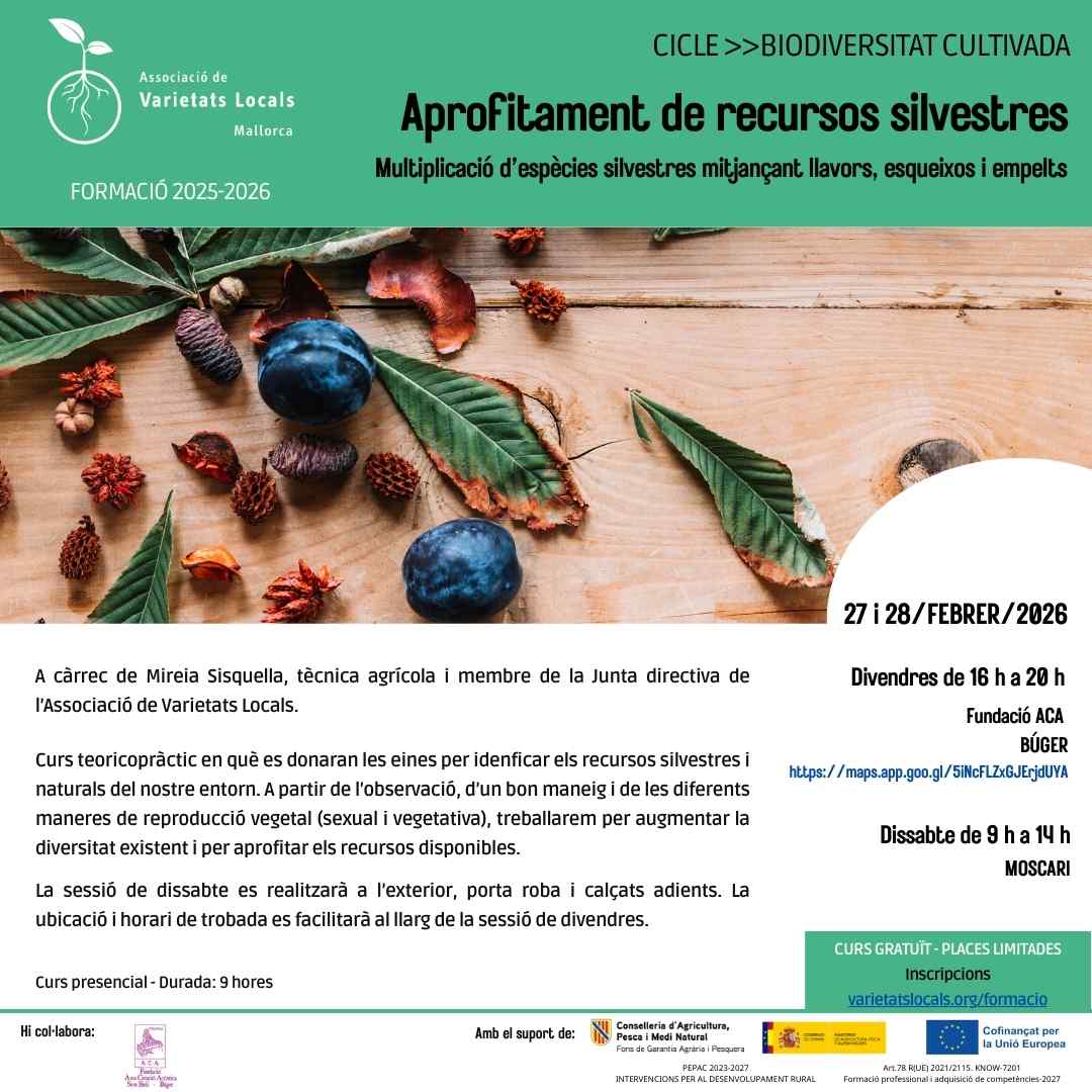 28 cartell curs aprofitament recursos feb26