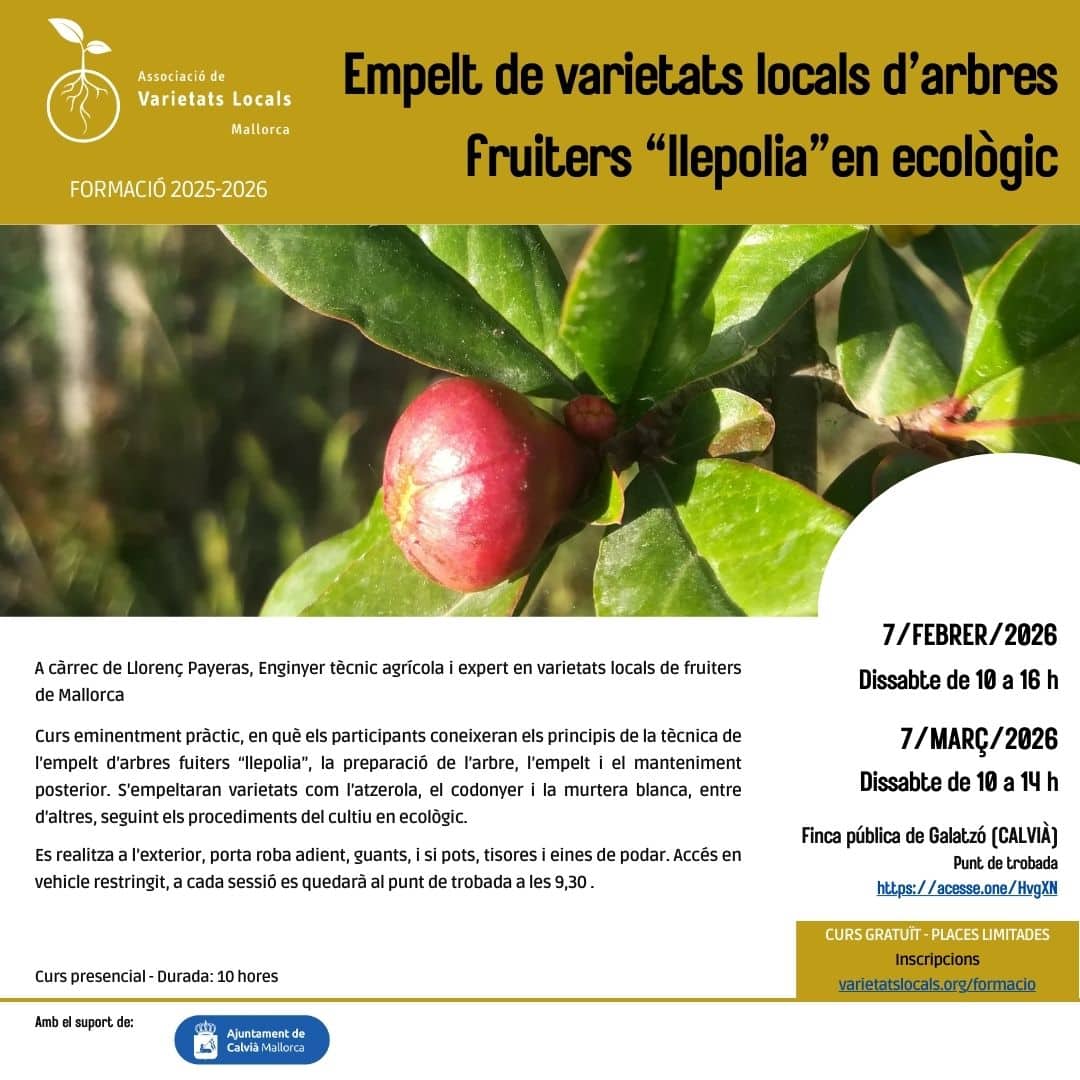 cartell curs empelt fruiters feb26