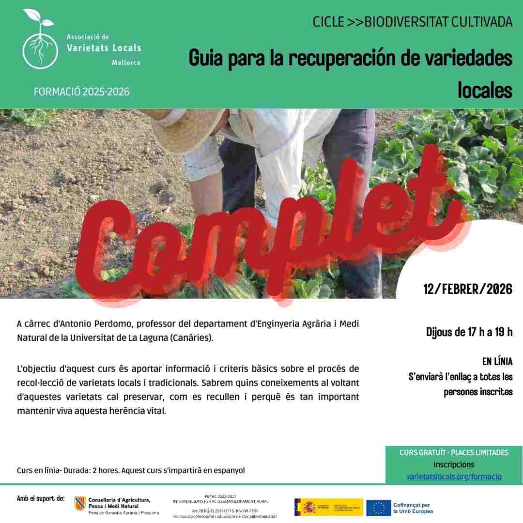 23 cartell curs en linia guia recuperacion feb26