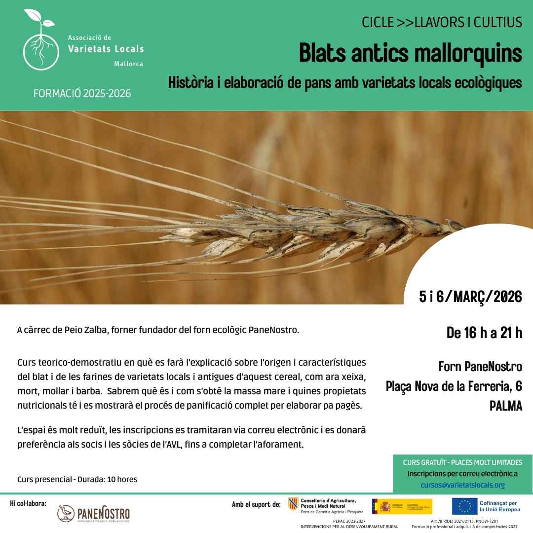 30 cartel curso trigos antiguos mar26