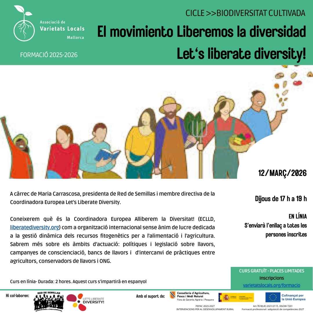 31 cartel curso en linea LLD mar26