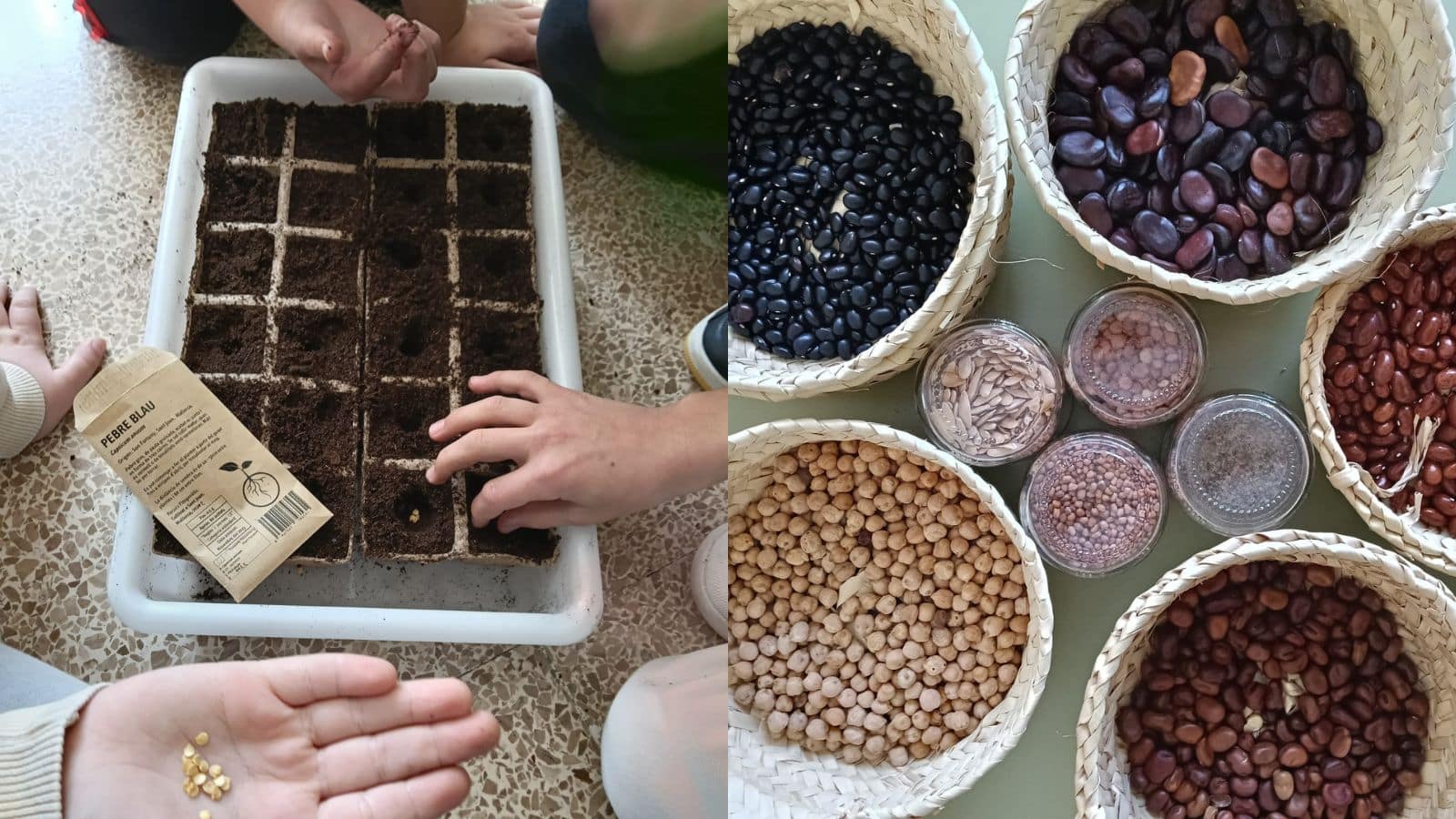 Educacio per a la Transformacio Social