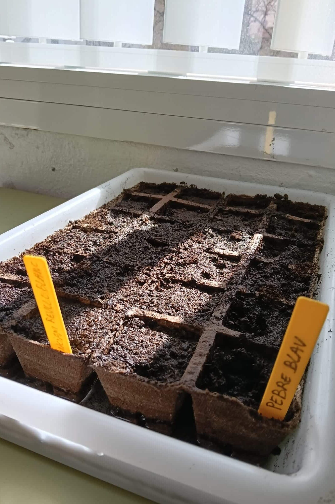 WhatsApp Image 2026 02 23 at 08.58.27 4 3 edited