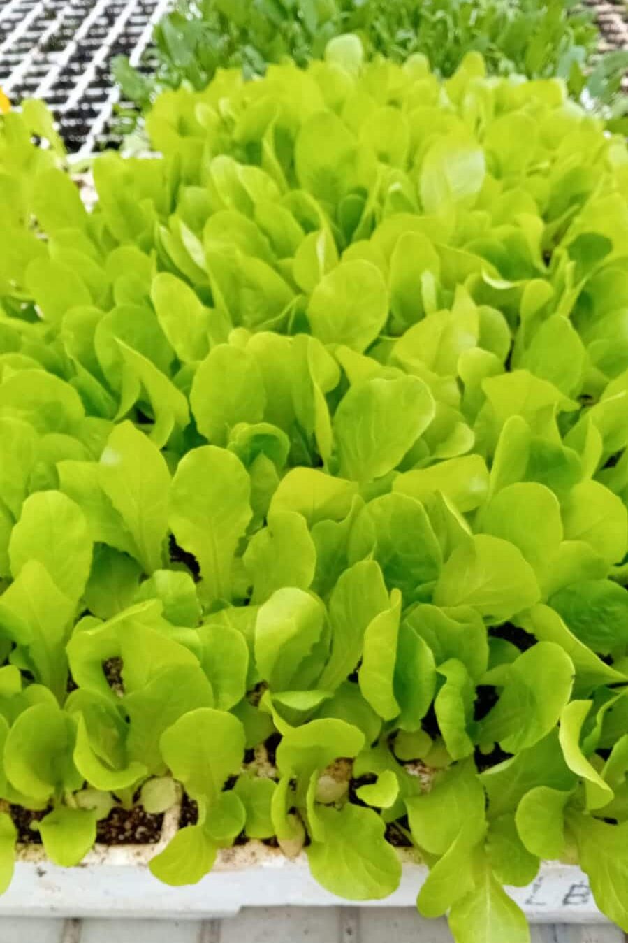 WhatsApp Image 2026 03 12 at 13.58.32 2 edited