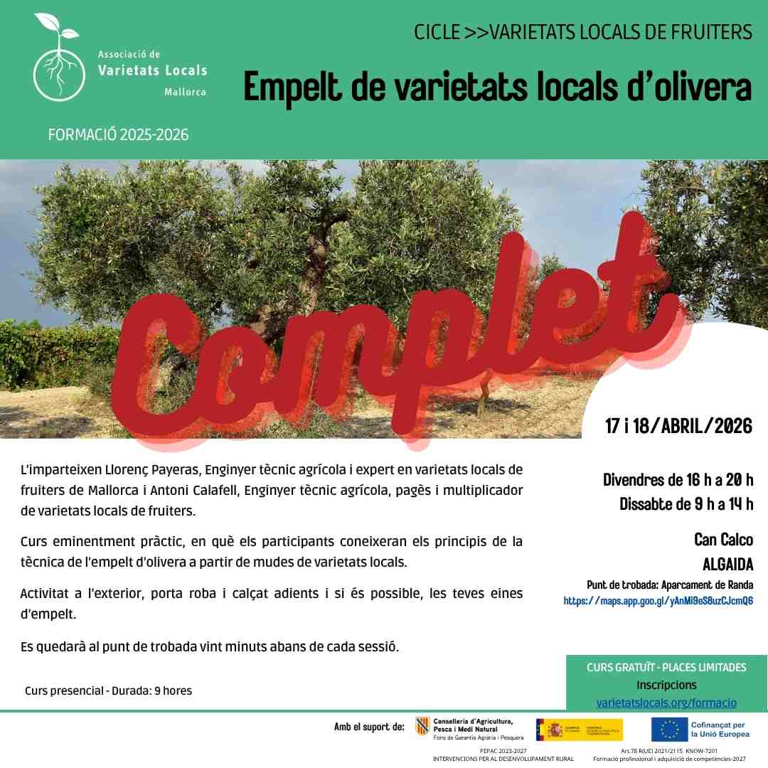 37 cartel curso olivo injerto abr26
