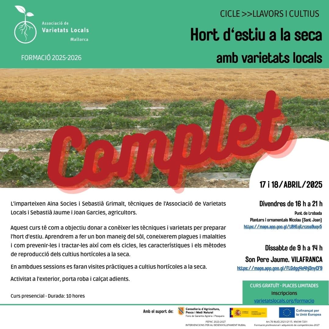 38 cartel curso huerto verano abr25