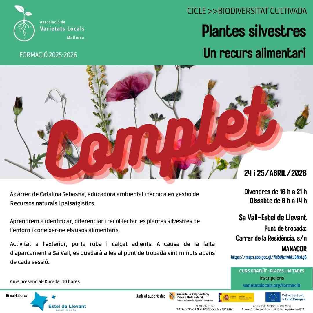 40 cartel curso silvestres alimenticios abr26
