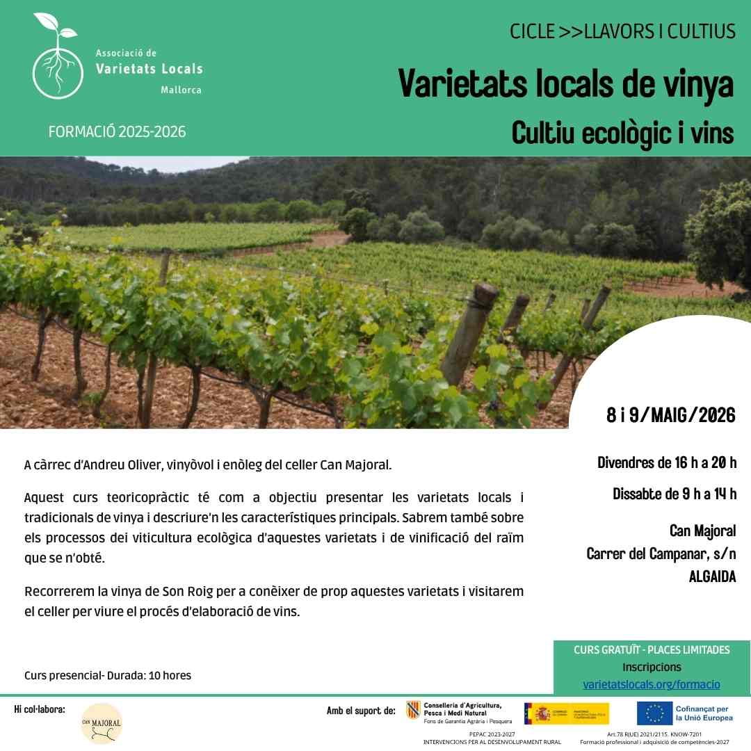 41 cartel curso viña mai26definitiu