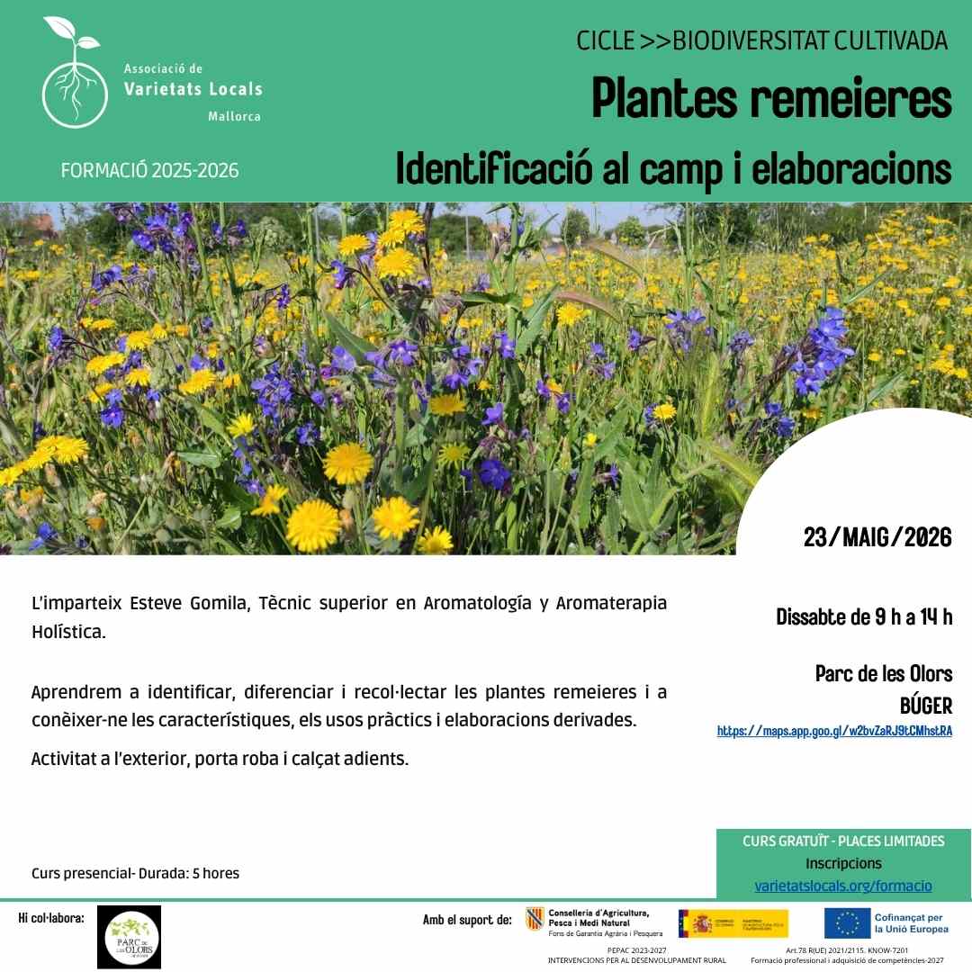 44 cartell curs remeieres 23mai26