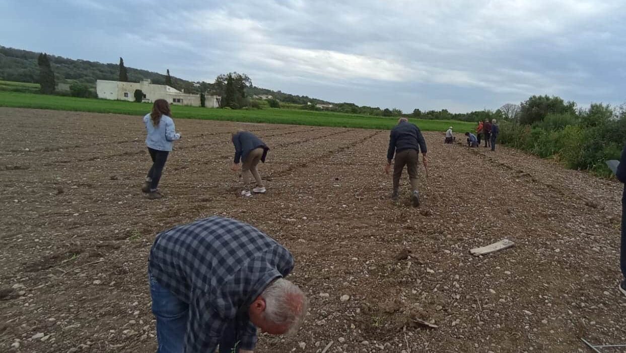 Siembra directa 2 1 e1777289837396