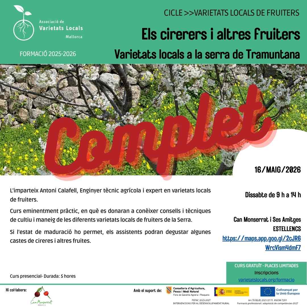 42 cartell curs cireres mai26