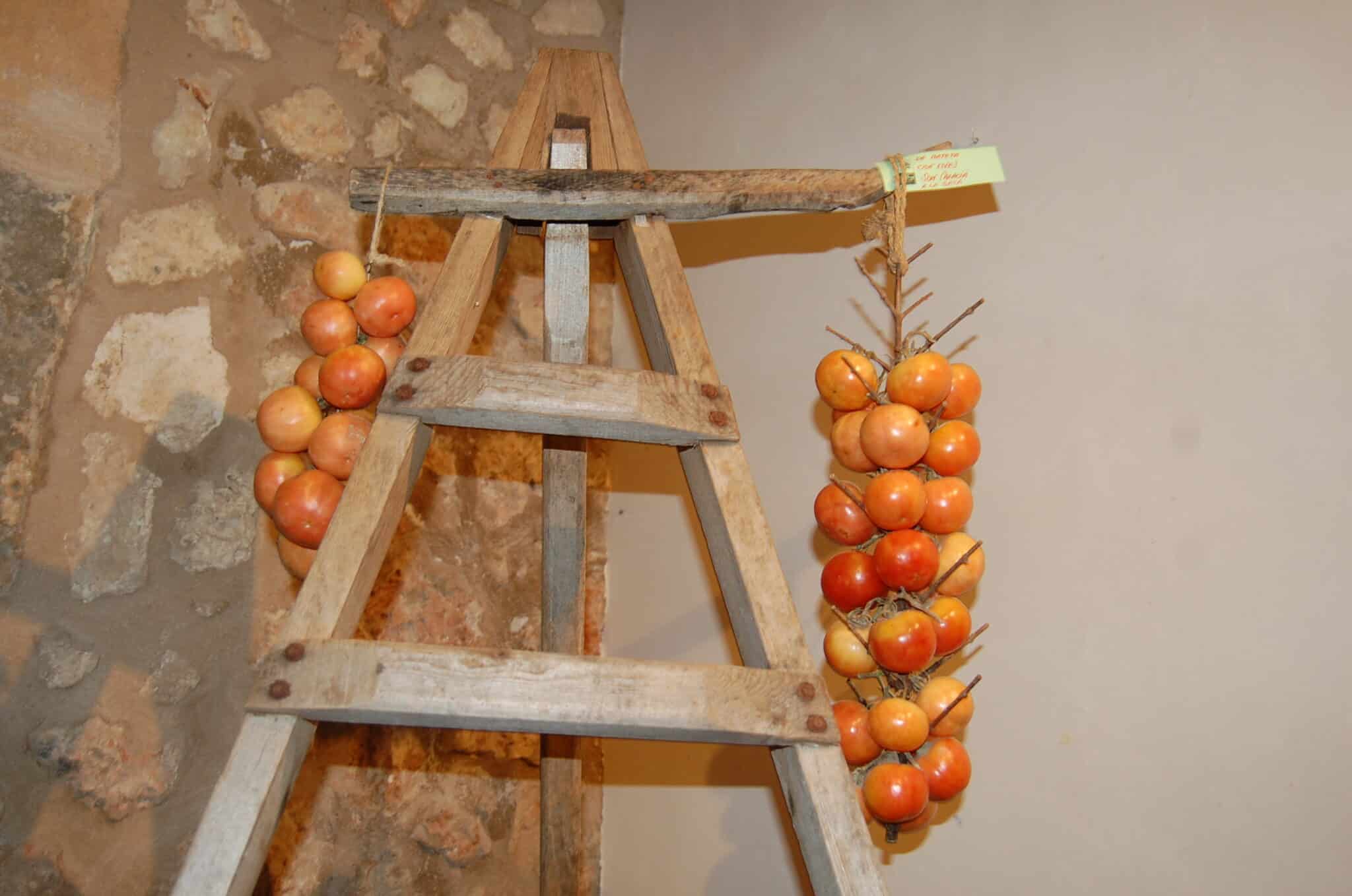 Tomato skewer 1 scaled