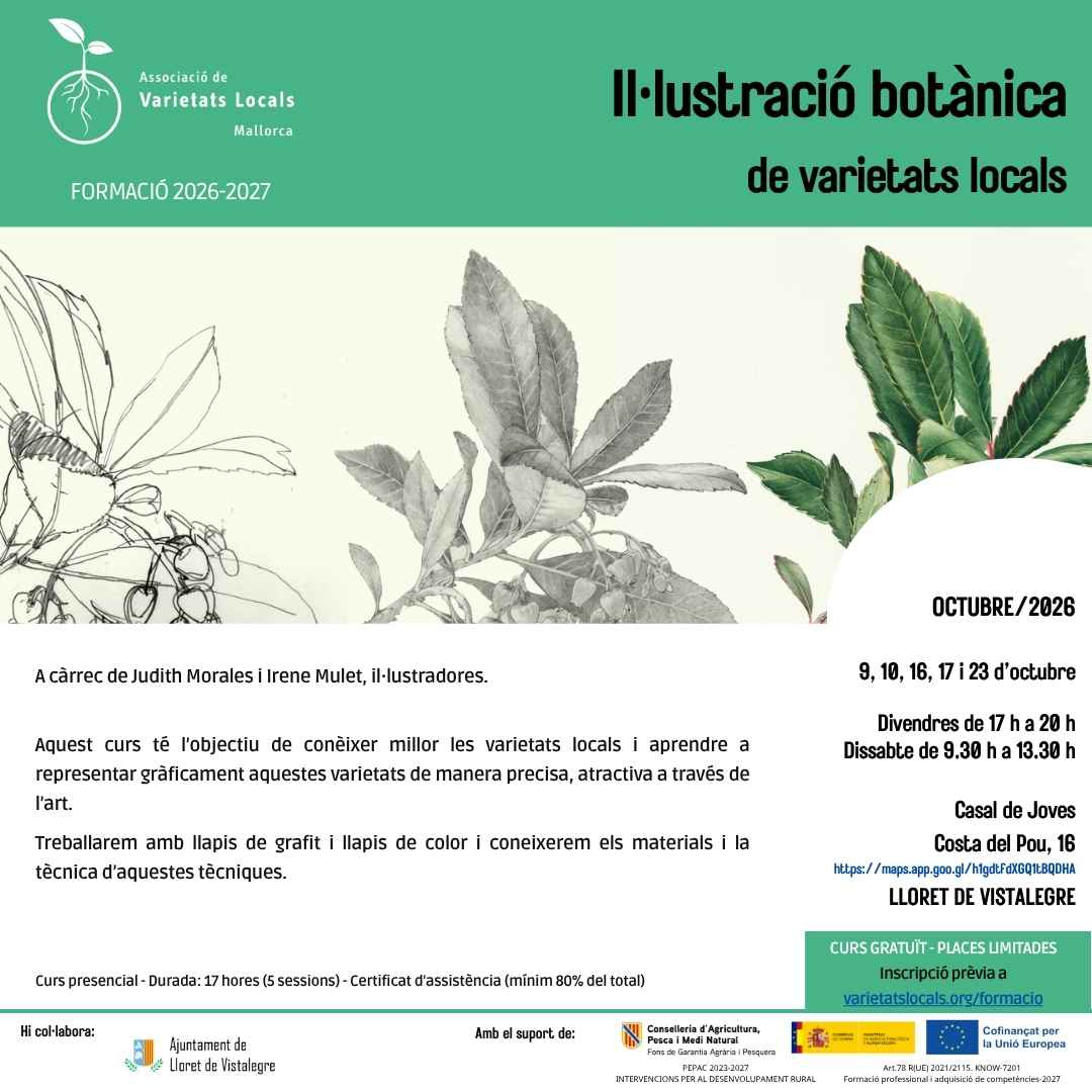 04 cartell curs illustracio oct26