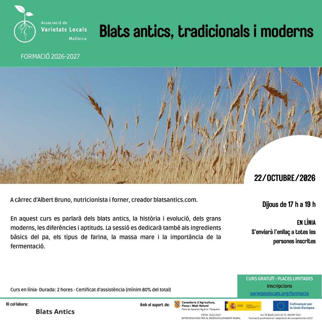 05 cartell curs en linia blats oct26