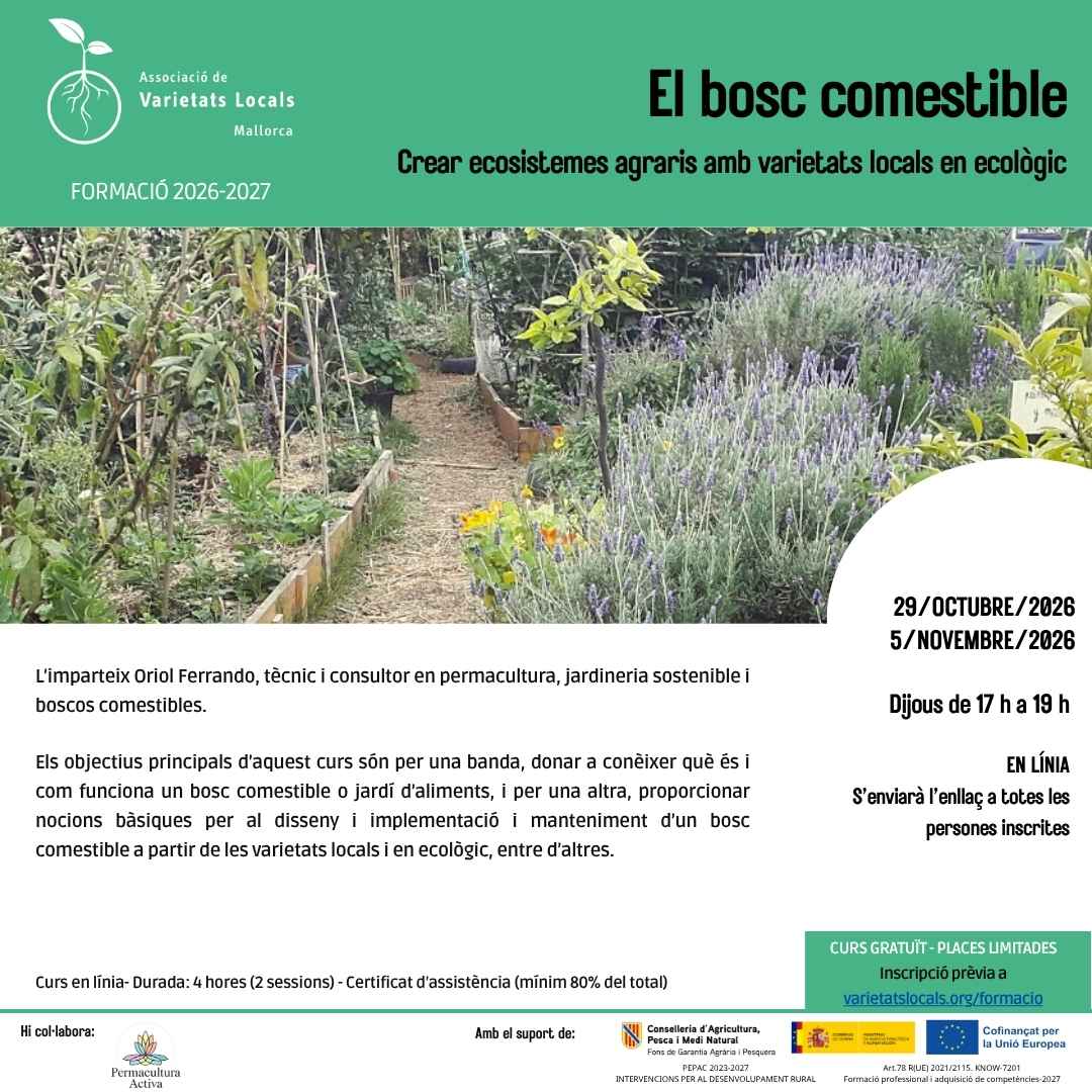 06 cartell curs bosc comestible oct26