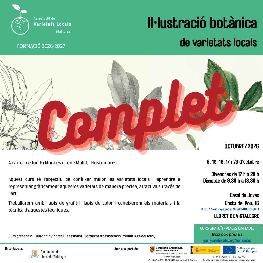 04 cartel curso ilustracion oct26