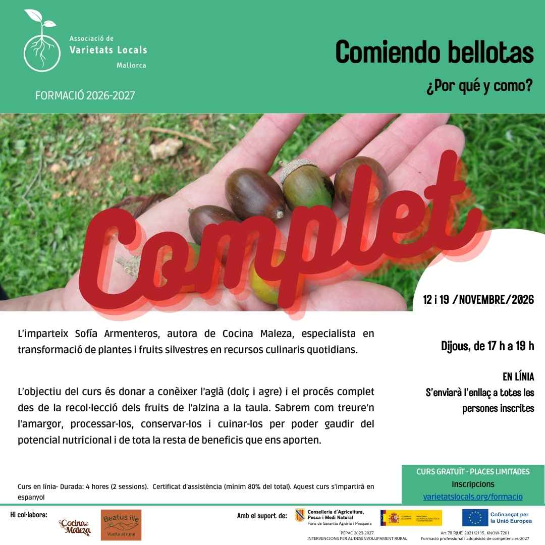 07 cartell curs en linia comiendo bellotas nov26 comp