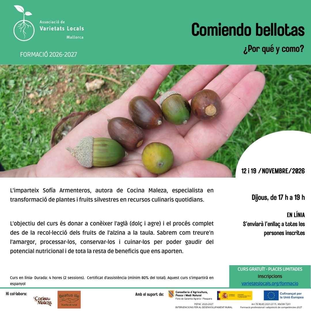 07 cartel curso en linea comiendo bellotas nov26 def