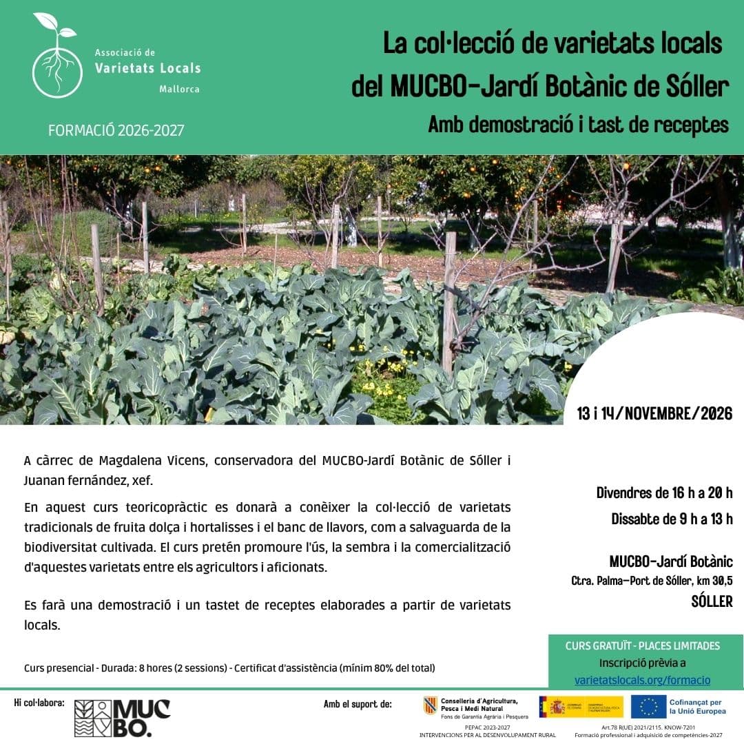 08 cartel curso mucbo nov26 def