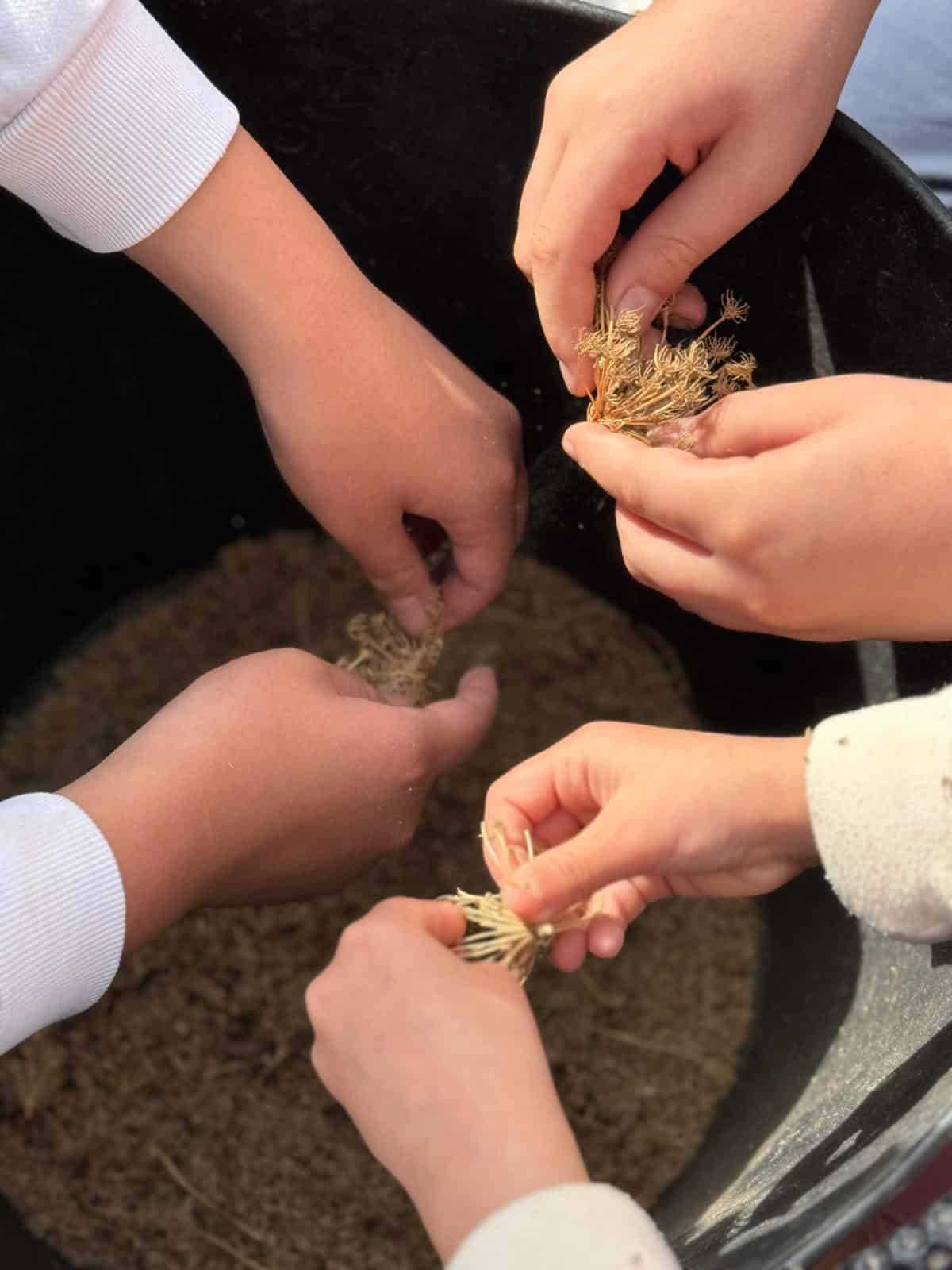 Visita Escola Montision